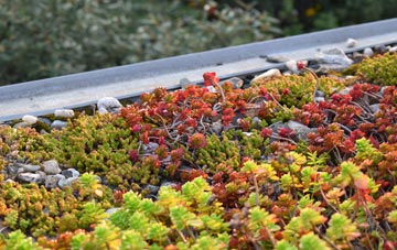 the cost of Manton Warren green roof installation