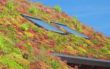 Manton Warren living roof systems
