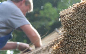 professional Manton Warren thatchers